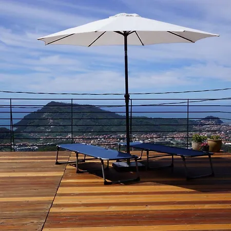 Crassula Casarza Ligure