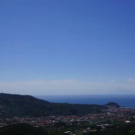 Crassula Casarza Ligure