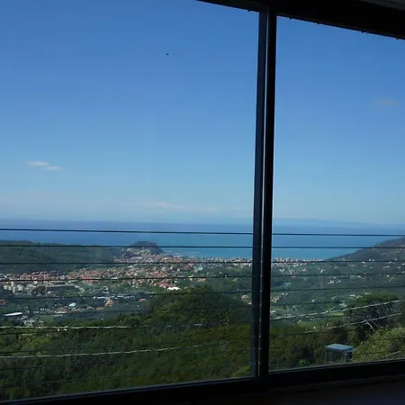 Crassula * Casarza Ligure