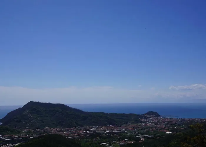 Crassula Casarza Ligure
