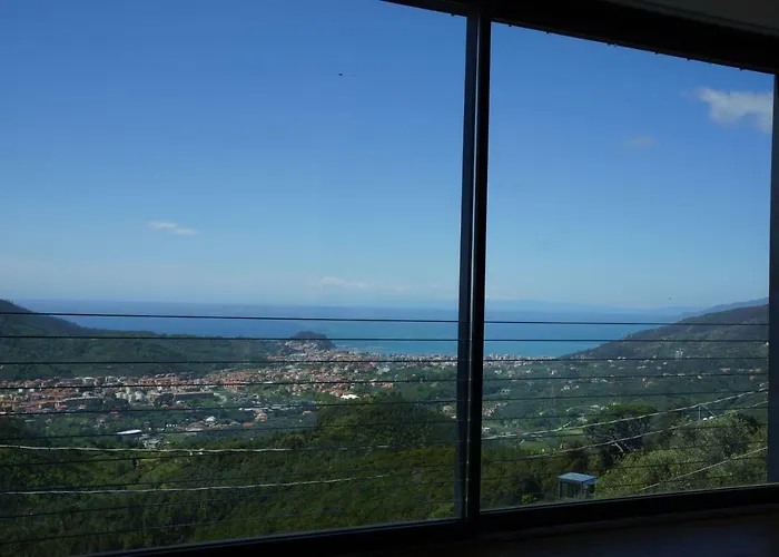 Crassula * Casarza Ligure